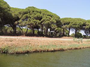 2022 07 UN AIR DE VACANCES 22 AIGUES MORTES (50)